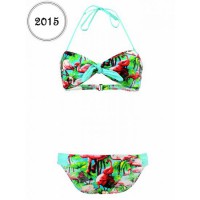 /album/galerie-de-photos-page-daccueil/balica-bird-jpg1/